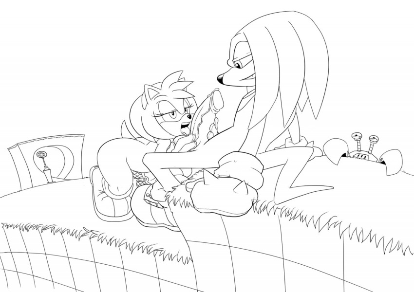 Amy Rose (Sonic (Series)) Rule 34 Image