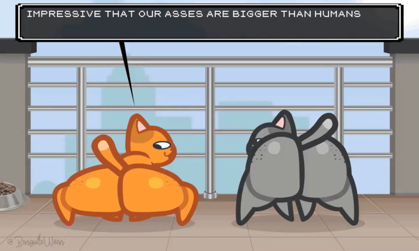 5:3 animated ass big_butt bonguitoweon bouncing_butt domestic_cat duo felid feline felis loop male mammal nude short_playtime text