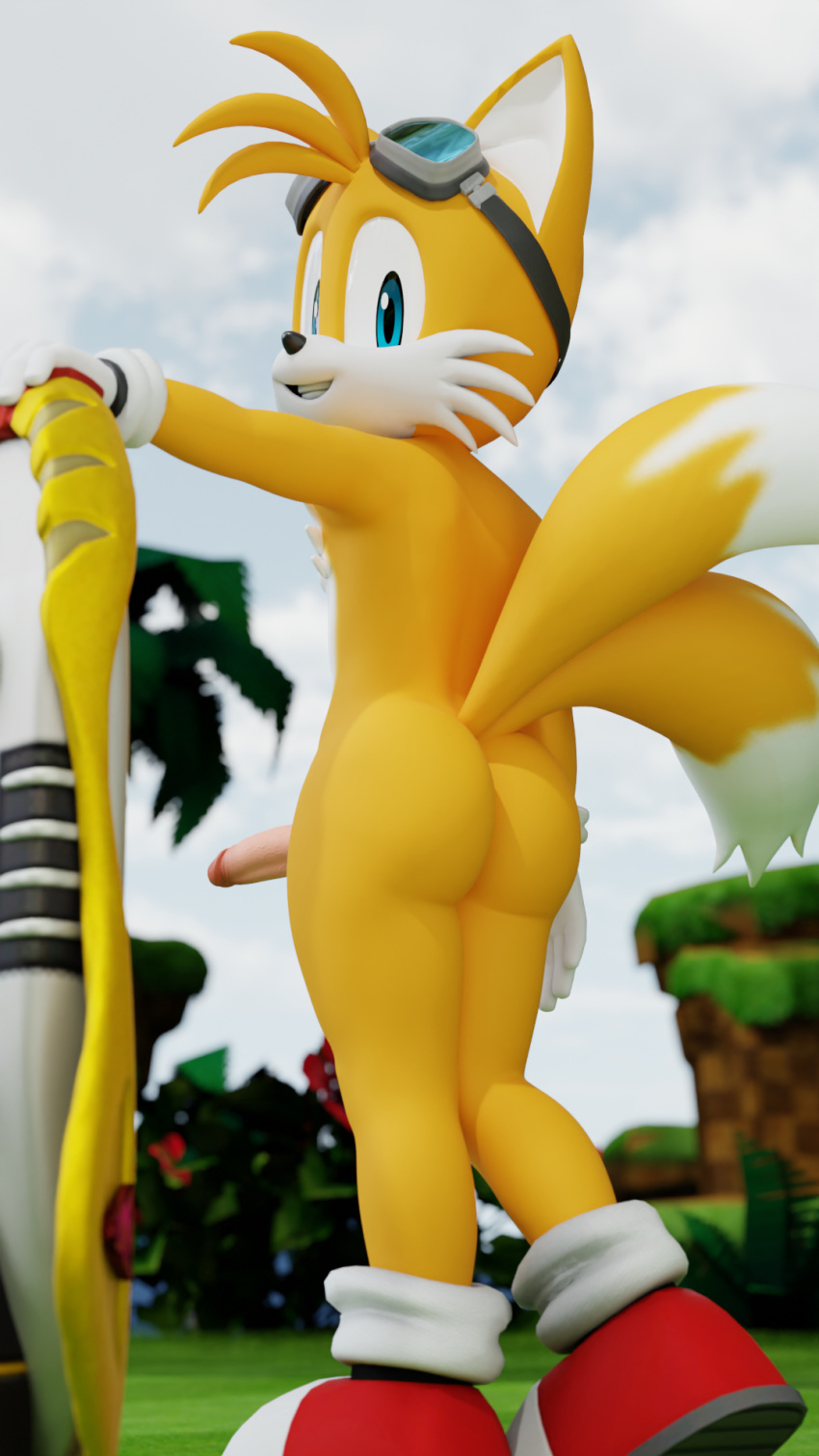 3d anthro canid canine digital_media extreme_gear eyewear fox genitals goggles hi_res looking_at_viewer looking_back male male_only mammal mostly_nude penis sega solo sonic_(series) sonic_riders sonic_the_hedgehog_(series) standing tails twintails3d yellow_tail_(hoverboard)