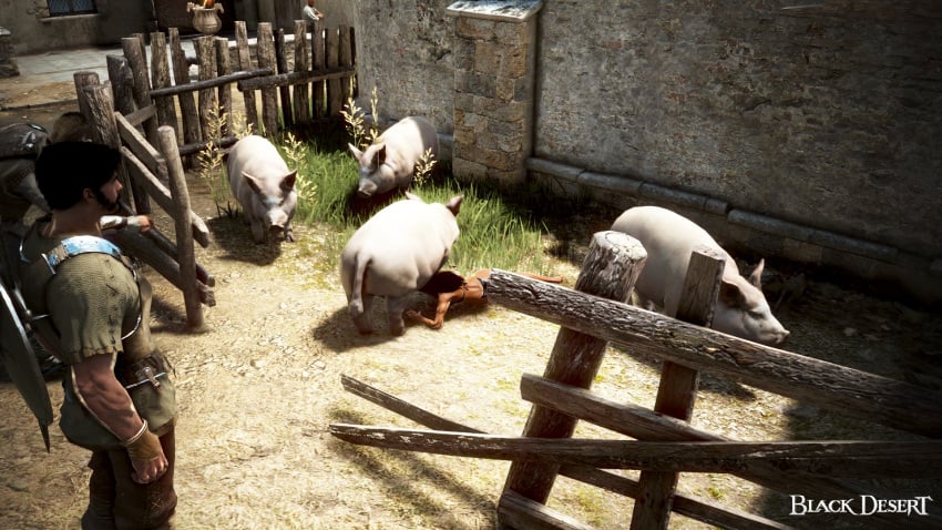 3d arab_female arabian arabian_female bdo black_desert black_desert_online blowjob commentary_request degradation exposed game_screenshot humiliation irl_character pig pig_girl slave underwear yourbdoslave zoophilia