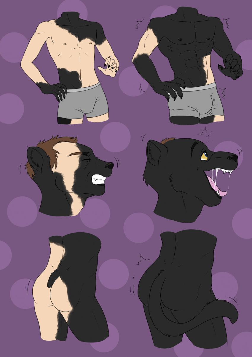 abs anthro ass black_body black_fur bulge clothed clothing colored felid foulfrost fur fur_growth growth hi_res human male mammal mid_transformation mostly_nude nipples pantherine potat solo species_transformation transformation transformation_sequence underwear underwear_only