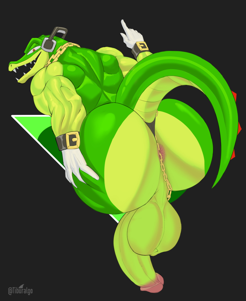 1boy 1male anthro anus big_ass big_balls big_butt big_penis black_thong bubble_ass bubble_butt chain crocodile crocodile_tail furry gay gloves gold_chain headphones huge_ass huge_balls huge_butt huge_cock pussy scalie sega sonic_(series) sonic_the_hedgehog_(series) thong tiburalgo vector_the_crocodile