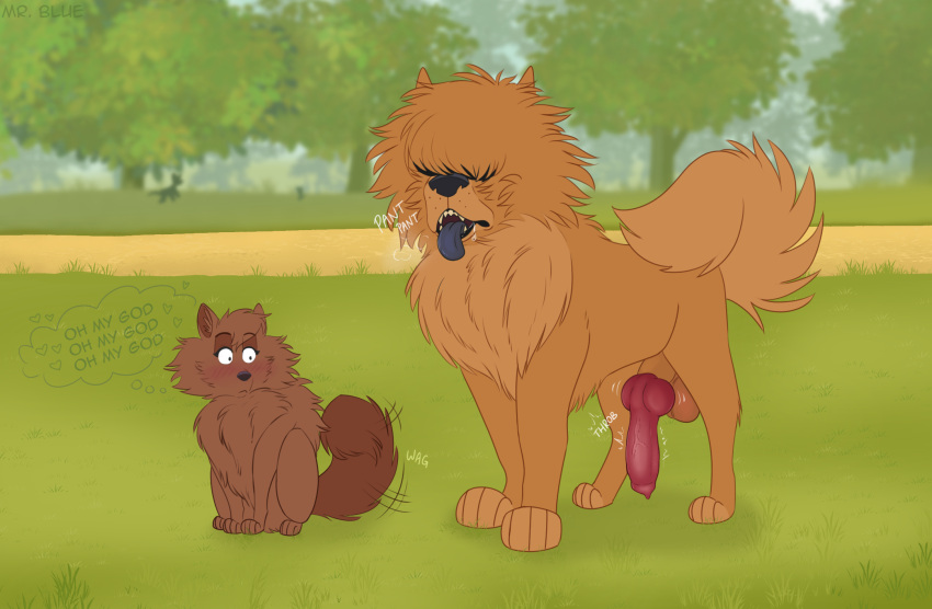 anatomically_correct anatomically_correct_genitalia anatomically_correct_penis animal_genitalia animal_penis balls blush canid canine canine_genitalia canine_penis canis chow_chow domestic_dog duo erection female feral genitals heart hi_res knot male male/female mammal mr._blue_(artist) onomatopoeia penis pomeranian sheath sound_effects speech_bubble spitz tail tail_motion tailwag text vein veiny_penis