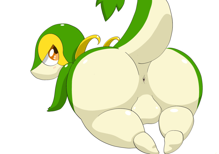 2023 anthro anus ass backsack balls big_butt brown_eyes drain_(pixiv) feet generation_5_pokemon genitals glistening green_body hi_res huge_butt looking_at_viewer looking_back male male_only multicolored_body narrowed_eyes nintendo nude pokemon pokemon_(species) presenting presenting_anus presenting_hindquarters raised_tail rear_view reptile scalie simple_background snivy solo tail thick_thighs two_tone_body white_background wide_hips