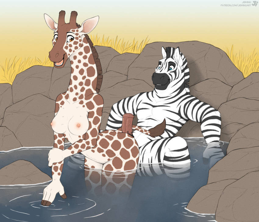 2024 5_fingers alpha_male anthro anthro_on_anthro ass black_stripes breasts brown_spots duo equid equine erection female fingers fur genitals giraffe giraffid horn hot_dogging humanoid_hands jishinu male male/female mammal markings nude open_mouth open_smile ossicone outdoor_nudity outside partially_submerged penis sex smile spots spotted_body spotted_fur spread_legs spreading striped_body striped_fur stripes teeth tongue water watering_hole white_body white_fur zebra