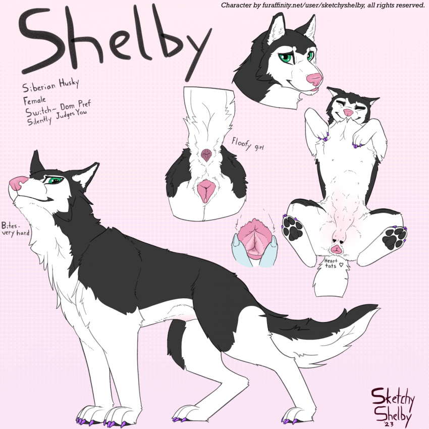 animal female feral hi_res sketchy_shelby solo