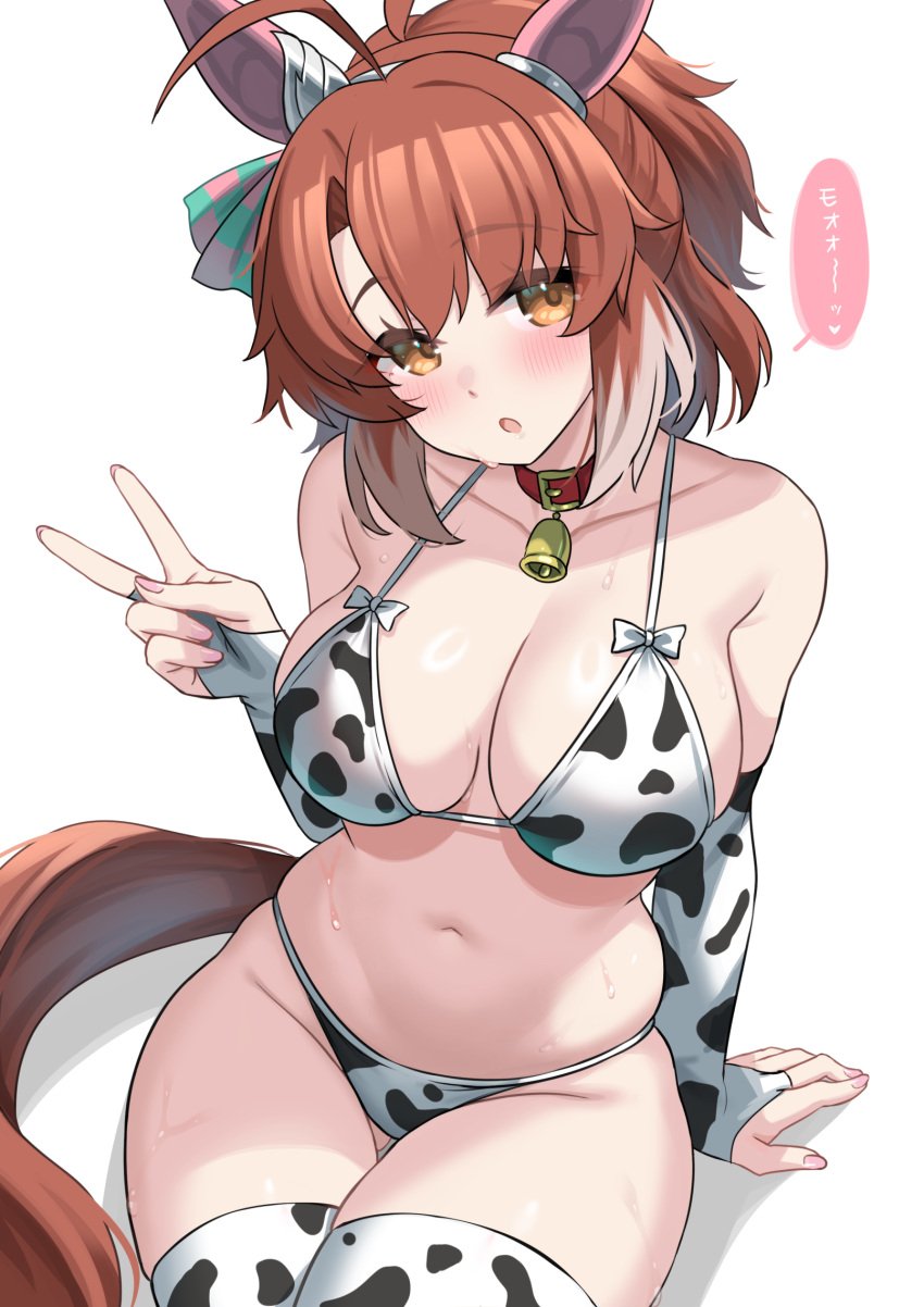 alternate_costume animal_ears animal_print arm_support bikini blush breasts bridal_gauntlets brown_eyes brown_hair cleavage commentary_request cow_print cow_print_bikini cow_print_sleeves cow_print_thighhighs dantsu_flame_(umamusume) female highres horse_ears horse_girl horse_tail kibihimi large_breasts looking_at_viewer multicolored_hair navel open_mouth print_bikini print_thighhighs simple_background sitting solo stomach streaked_hair swimsuit tail thighhighs umamusume v white_background white_hair