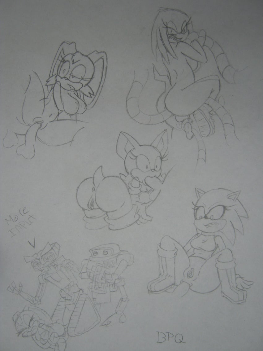 bpq00x cream_the_rabbit e-102_gamma furry hedgehog knora_the_echidna knuckles_the_echidna mammal rouge_the_bat rule_63 short_circuit sonic_(series) sonic_the_hedgehog sonique_the_hedgehog vanilla_the_rabbit