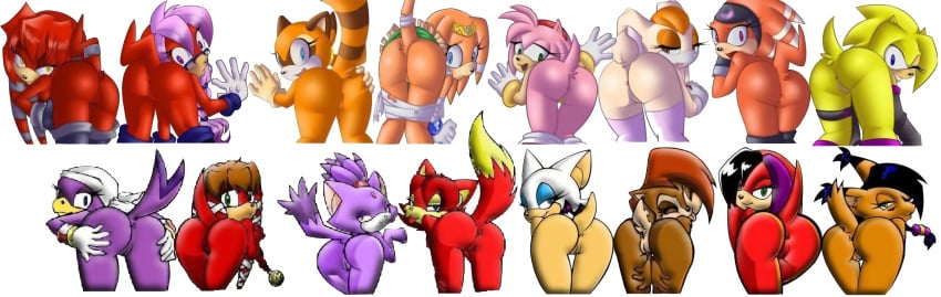 2d amy_rose anthro ass blaze_the_cat color female female_only fiona_fox fur furry furry_only lara-le lara-su mammal marine_the_raccoon mobian mobian_(species) mobian_echidna multiple_females nicole_the_lynx nude rabbit rouge_the_bat sally_acorn sega shade_the_echidna simple_background sonic_(series) sonic_adventure sonic_the_hedgehog_(series) tikal_the_echidna uncensored vanilla_the_rabbit wave_the_swallow white_background