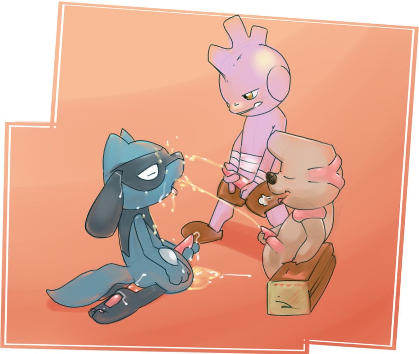 argon_vile pokemon riolu timburr tyrogue