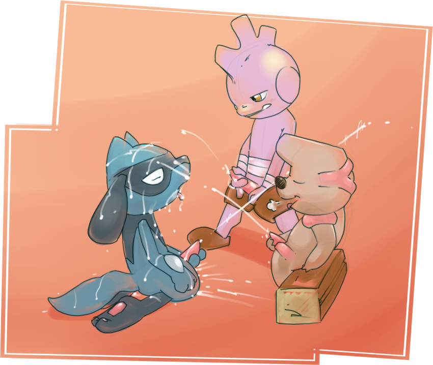 argon_vile pokemon riolu timburr tyrogue