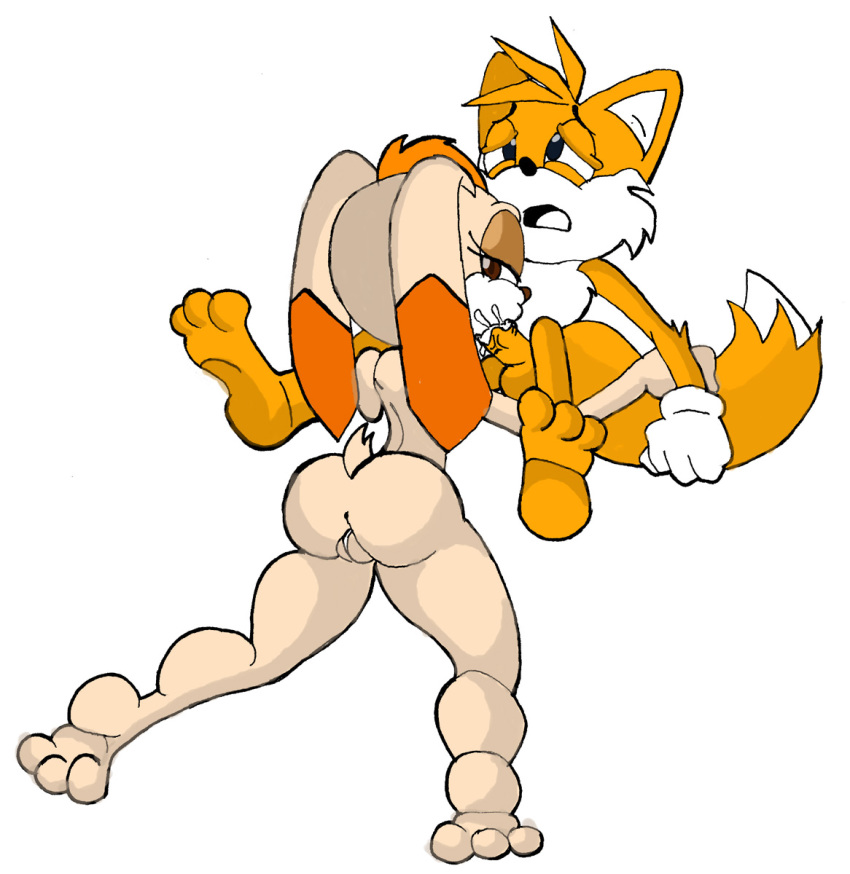 anthro ass balls barefoot canine color cub cub_and_adult fellatio female fox fur furry interspecies male mammal oral penis rabbit shostyle sonic_(series) sonic_advance_2 sonic_the_hedgehog_(series) straight tail tails vanilla_the_rabbit