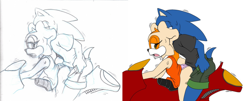 anthro aval0nx clothes color cream_the_rabbit female fur furry hedgehog interspecies male rabbit side_view sonic_(series) sonic_the_hedgehog straddle tagme