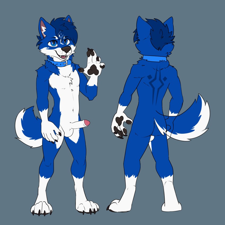 1:1 absurd_res anthro arm_tuft back_markings balls blue_background blue_body blue_eyes blue_fur blue_hair canid canine cheek_tuft erection facial_markings facial_tuft foreskin front_view fur genitals gloves_(marking) hair head_markings hi_res humanoid_genitalia humanoid_penis leg_markings looking_at_viewer male mammal markings martinballamore navel neck_tuft nude open_mouth open_smile penis rear_view short_hair shoulder_tuft simple_background smile socks_(marking) solo standing tuft white_balls white_body white_fur white_markings white_penis