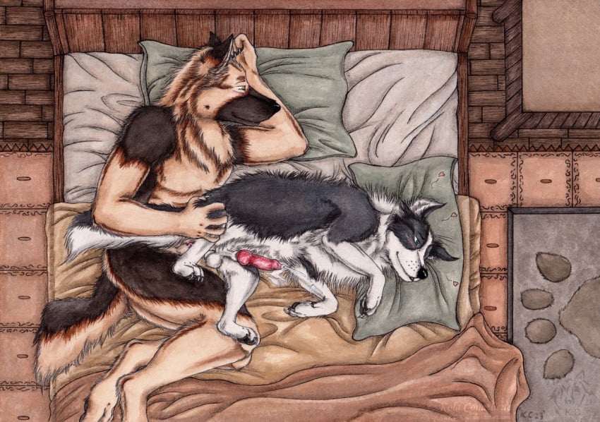 anal anal_sex animal_genitalia animal_penis anthro anthro_on_feral anthro_penetrating anthro_penetrating_feral balls bed blue_eyes bodily_fluids border_collie brown_body brown_fur canid canine canine_genitalia canine_penis canis collie cum cum_while_penetrated domestic_dog duo erection feral feral_penetrated fur furniture genital_fluids genitals german_shepherd herding_dog knot knotted_penis kola_(artist) lying male male/male male_penetrated male_penetrating male_penetrating_male mammal mouth_closed nude on_bed on_side orange_eyes pastoral_dog penetration penile penile_penetration penis penis_in_ass red_penis sex sheepdog tan_body tan_fur traditional_media_(artwork) white_balls white_body white_fur zoophilia