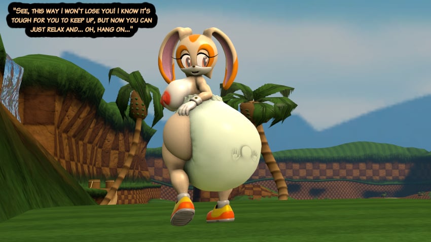 3d cream_the_rabbit diaper diaper_stuffing female nightsoil nipples rabbit sonic_(series) sonic_the_hedgehog_(series) thick