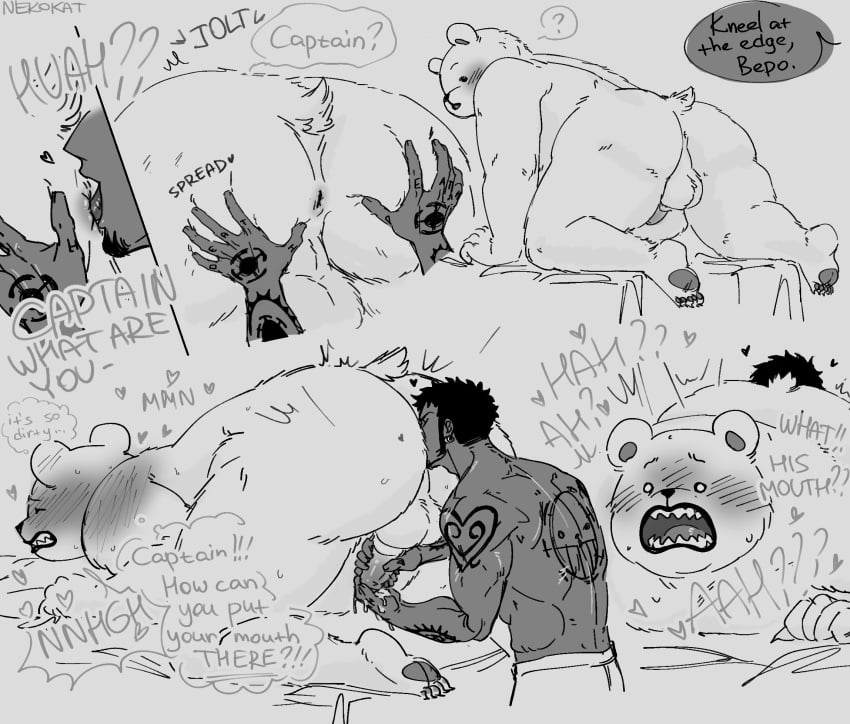 2024 anal anthro anus ass backsack balls bear bepo big_butt blush genitals hi_res human human_on_anthro interspecies male male/male male_only mammal minkmen_(one_piece) nekokat42 one_piece oral overweight overweight_male penis polar_bear rimming sex tattoo trafalgar_law ursine