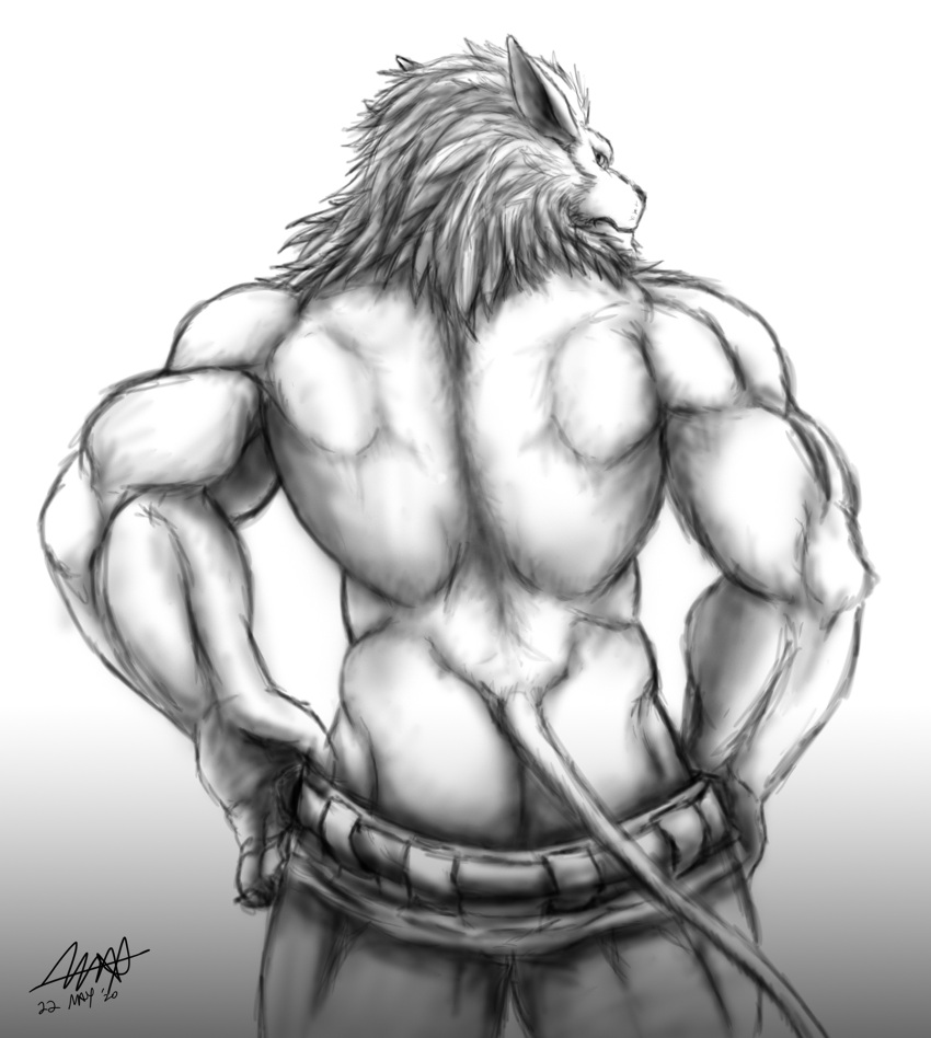 2020 ass bandai_namco biceps bottomwear bottomwear_down clothed clothing digimon digimon_(species) hi_res leomon looking_at_viewer looking_back male male_only mane muscular pants pants_down partially_clothed rear_view solo topless xvrox