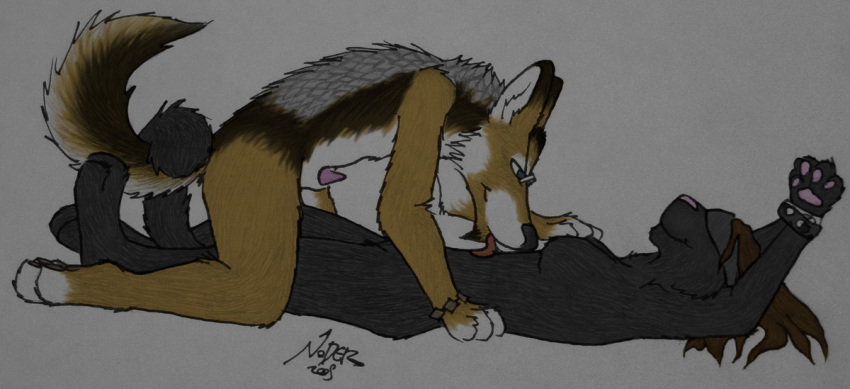 Animal Genitalia Rule 34 Image