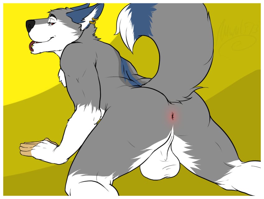 2013 amwulf anthro anus ass balls biceps big_balls canine husky looking_back male male_only nude perineum piercing pose presenting presenting_hindquarters raised_tail smile solo tongue tongue_out