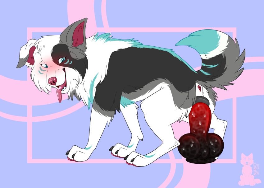 absurd_res anatomically_correct anatomically_correct_genitalia anatomically_correct_pussy blush border_collie canid canine canis collie dildo dildo_in_pussy dildo_insertion domestic_dog female feral fur genitals gordiethecollie herding_dog hi_res mammal open_mouth pastoral_dog penetration pussy sex_toy sex_toy_in_pussy sex_toy_insertion sheepdog simple_background solo tail tongue tongue_out vaginal_penetration xblueashesx zoophilia