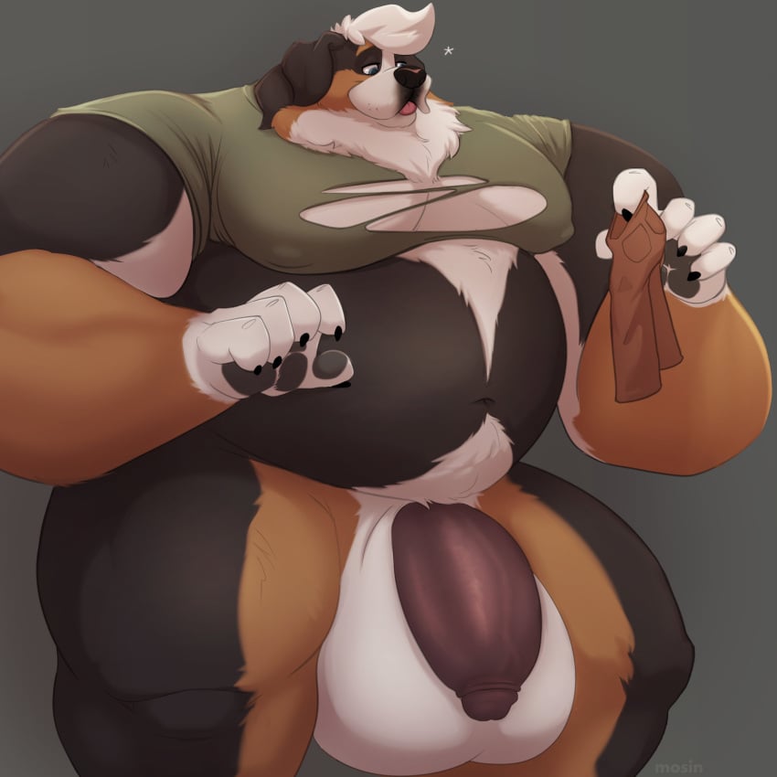 1:1 absurd_res anthro balls belly bernese_mountain_dog big_balls big_belly big_moobs big_muscles big_penis biped black_claws body_hair canid canine canis claws clothing domestic_dog finger_claws flaccid fur genitals hair happy_trail hi_res holding_clothing holding_object huge_balls huge_belly huge_cock huge_muscles humanoid_hands hyper hyper_balls hyper_genitalia hyper_muscles hyper_penis male male_focus male_only mammal molosser moobs mosin mountain_dog multicolored_body multicolored_fur muscular navel obese obese_anthro obese_male overweight overweight_anthro overweight_male paws penis sam_(thesammon) solo standing swiss_mountain_dog thick_thighs torn_clothing white_hair