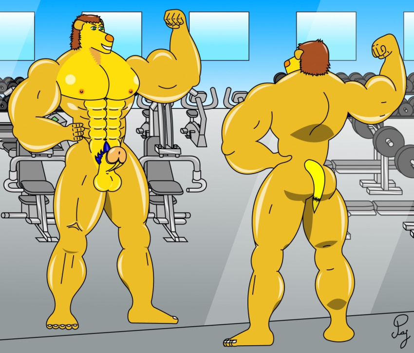 abs ass blue_pubic_hair boner brown_hair flexing flexing_bicep front_view green_eyes gym_equipment male mbs1 mirror musclefurrydogaaron orange_glans orange_nipples orange_nose paj pecs penis posing rear_view sexydogaaron smiling yellow_butt yellow_fur yellow_penis yellow_tail