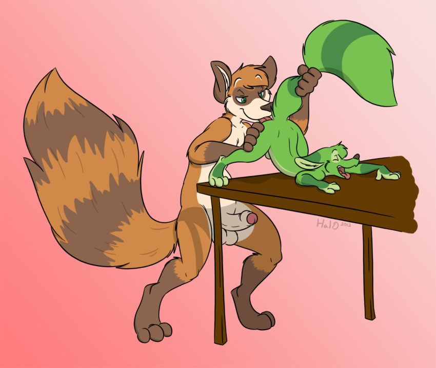 anal anthro ass ass_up balls citra couple erection from_behind fur furry gay graedius hal halbean male no_humans nude open_mouth oral penis raccoon raised_tail rimming sheath size_difference spread_legs spreading table tongue