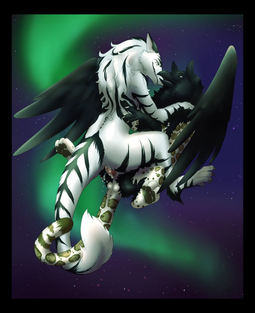 anal aurora_borealis avian balls beak bird black_feathers black_fur byakurai_tora claws crow cum feline flying gay grave_gryphon gryphon jaguar knon male no_humans penis raven_(bird) sergal stars talons white_fur white_jaguar