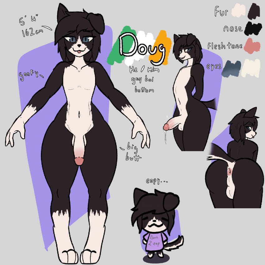 anthro anus ass backsack balls black_body black_fur blue_eyes bodily_fluids border_collie canid canine canis collie digital_media_(artwork) digitigrade domestic_dog doug_(dugdog) dugdog english_text femboy flaccid fur genital_fluids genitals hair herding_dog hi_res looking_at_viewer male mammal model_sheet multicolored_body multicolored_fur multiple_images nude pastoral_dog penis precum presenting presenting_hindquarters sheepdog simple_background smile solo tail text white_body white_fur