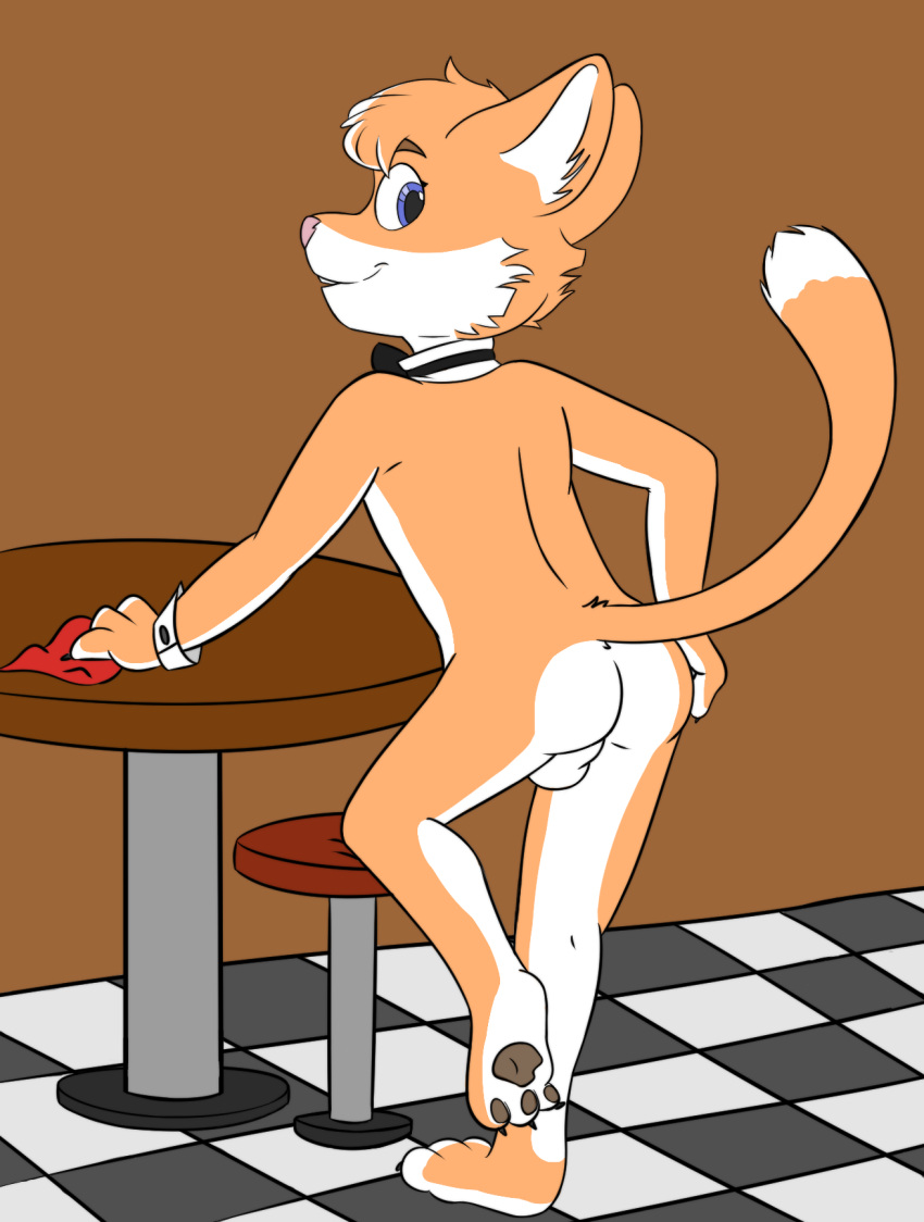 3_toes anthro ass backsack balls bare_back blue_eyes bow_(feature) bow_tie boxtop collar countershading digital_media_(artwork) domestic_cat feet felid feline felis femboy fur genitals hi_res joey_(lackadaisy) lackadaisy male male_only mammal nude orange_body orange_fur pawpads pink_nose raised_tail simple_background smile solo standing tail toes white_body white_fur