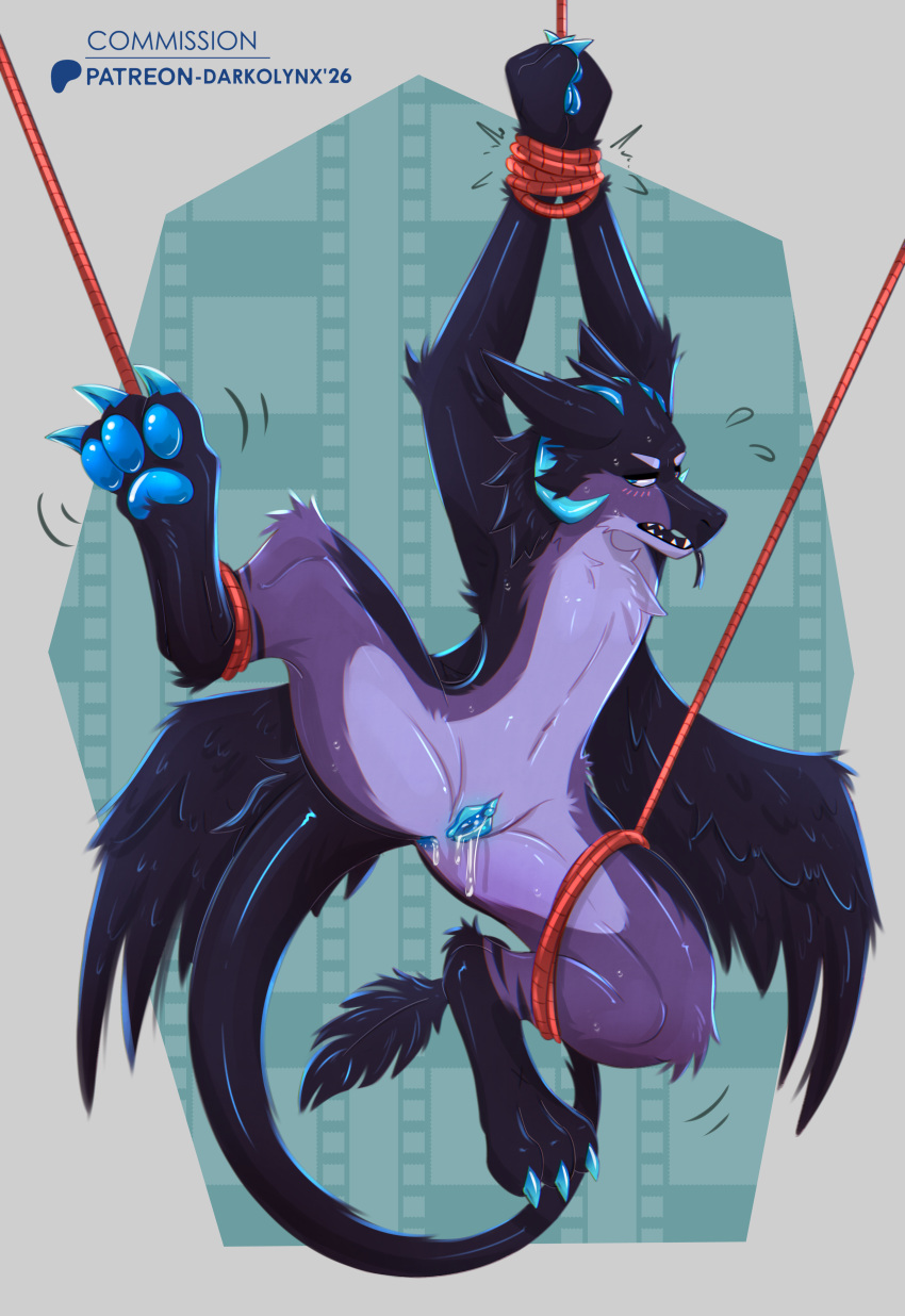 Shibary Rule 34 Image