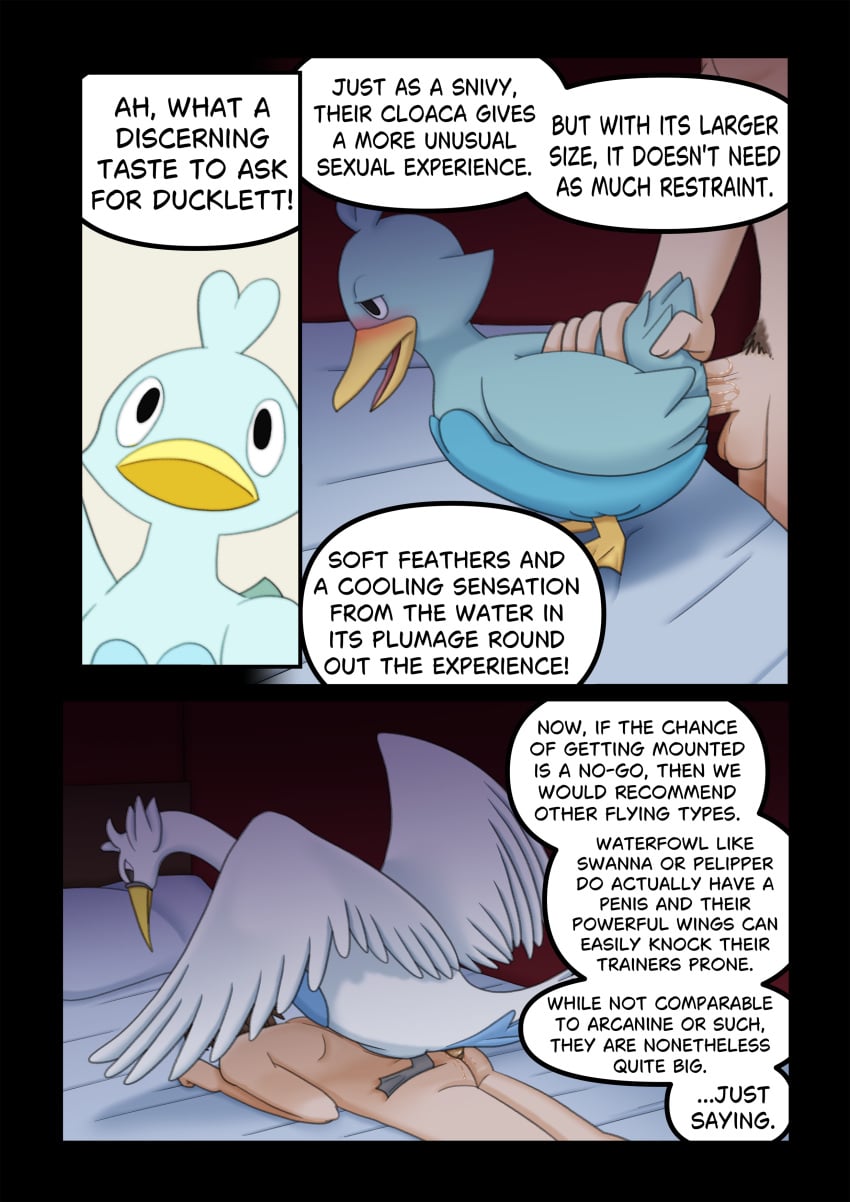 Generation 5 Pokemon (Nintendo) Rule 34 Image