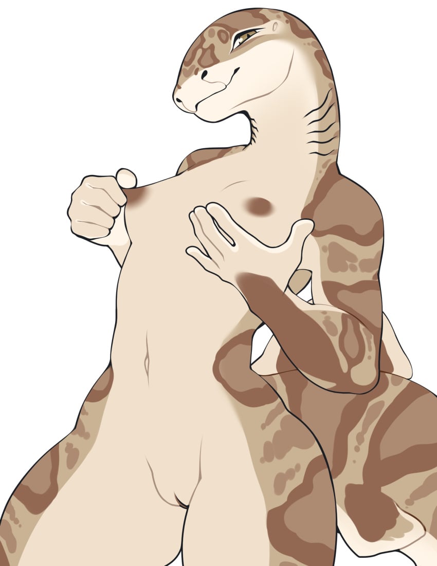 Anthro Rule 34 Image