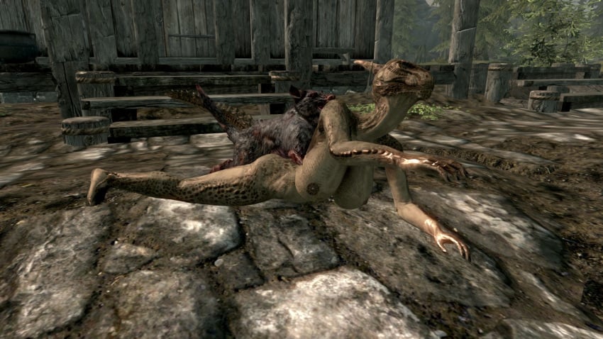 3d argonian skeever skyrim tagme the_elder_scrolls zoophilia