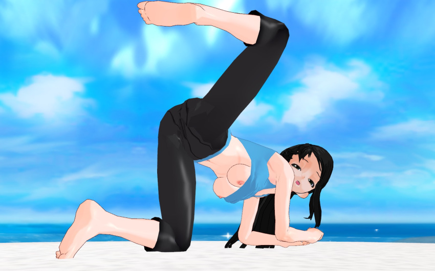 1girls 3d 3d_custom_girl ass beach breasts female long_hair nintendo nipples public shirt shirt_lift solo spread_legs water wii wii_fit wii_fit_trainer