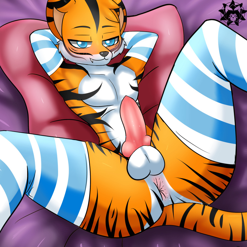 absurd_res anthro armwear blush clothing erection felid felix_grey femboy genitals hi_res hole_(anatomy) kyubimaru legwear male male/male mammal pantherine pattern_clothing pattern_legwear presenting solo striped_body striped_clothing striped_legwear stripes thigh_highs tiger