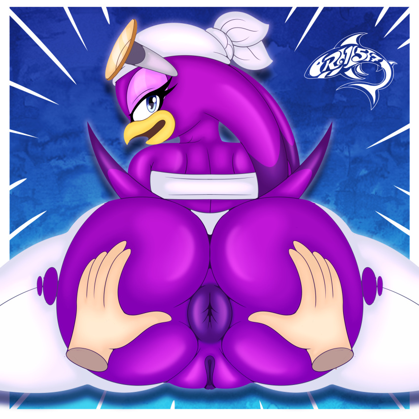 Sonic (Series) Rule 34 Image