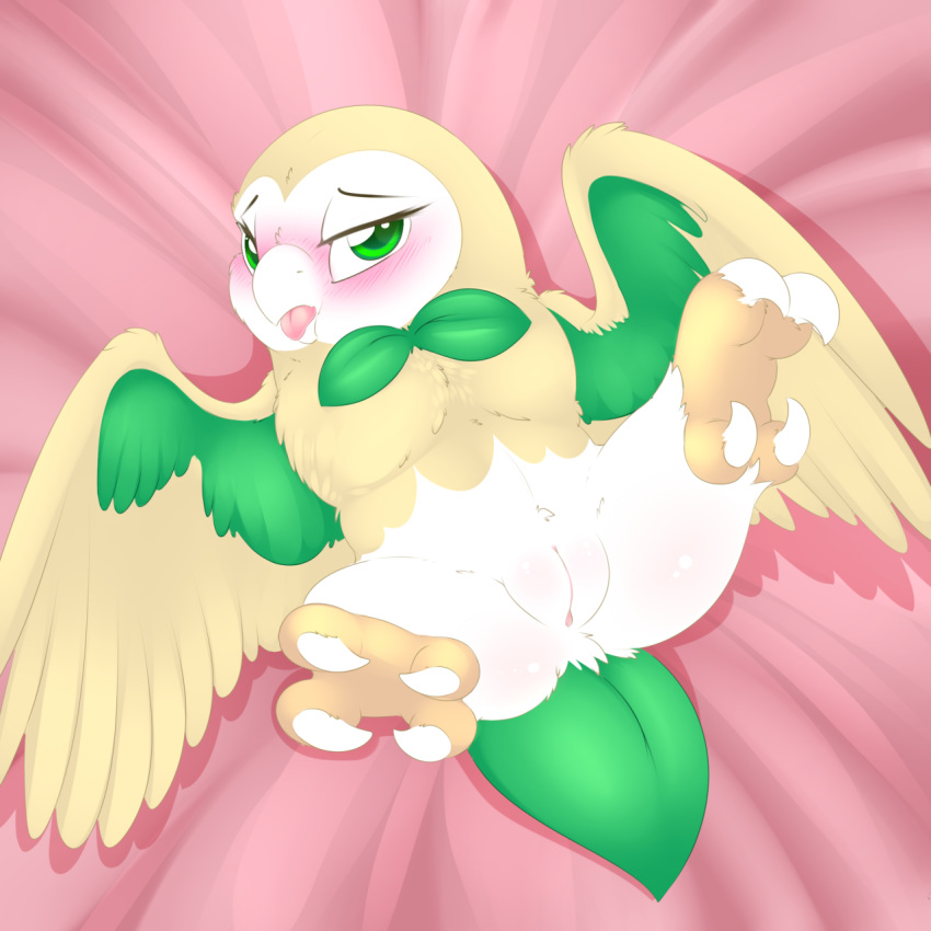 1girls 2016 avian bird blush camychan feathered_wings feathers female feral generation_7_pokemon green_eyes hi_res looking_at_viewer lying nintendo on_back owl pokemon pokemon_(species) pokemon_sm pussy rowlet solo solo_female talons video_games wings