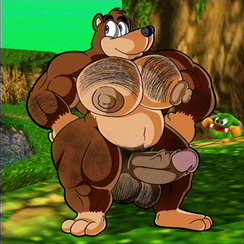 anthro balls banjo-kazooie banjo_(banjo-kazooie) bear big_balls big_nipples big_pecs big_penis body_hair chest_hair genitals hairy hi_res huge_pecs humanoid male mammal musclegut muscular muscular_male nipples pecs penis possbooty pubes rareware slightly_chubby solo top_heavy vein veiny_penis vhs_filter