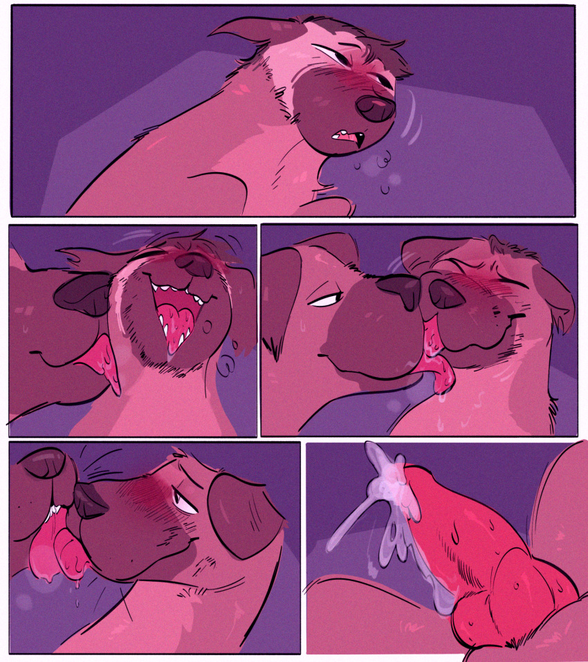 blush breath canid canine canis comic domestic_dog duo ejaculation feral feral_on_feral feral_transformation hi_res licking looking_pleasured male male/male mammal neck_lick species_transformation tongue transformation zoba_(artist)