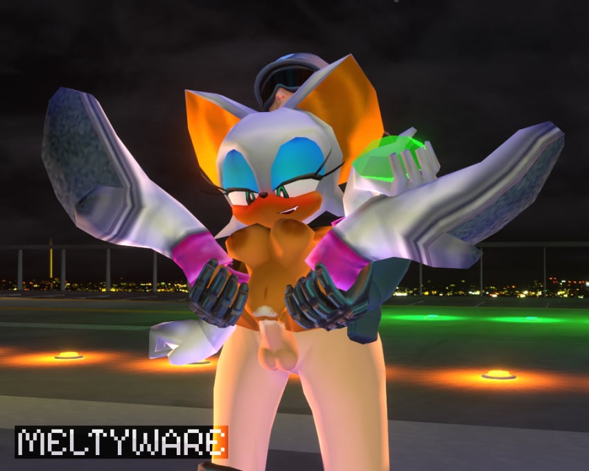 G.U.N. Soldier (Sonic (Series)) Rule 34 Image