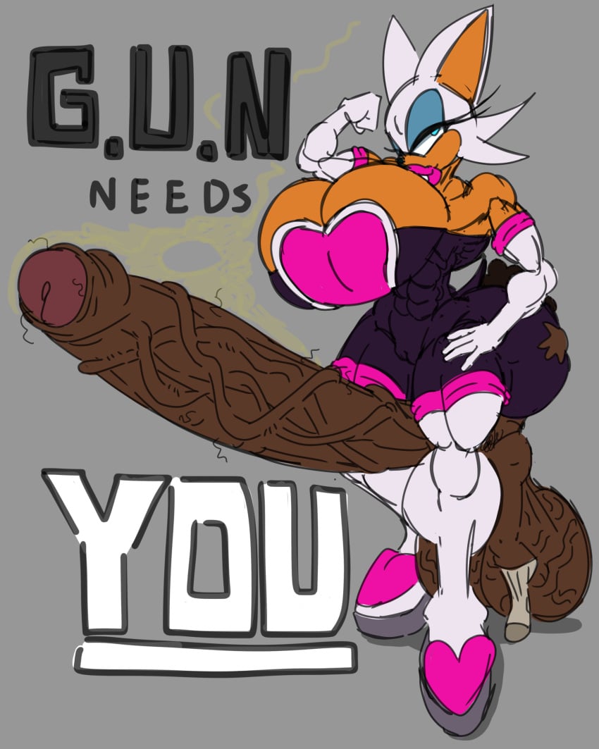 Rouge The Bat (Sonic (Series)) Rule 34 Image