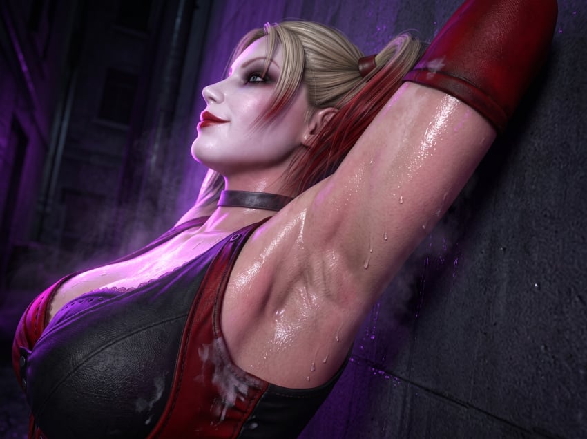 Harley Quinn (Dc) Rule 34 Image