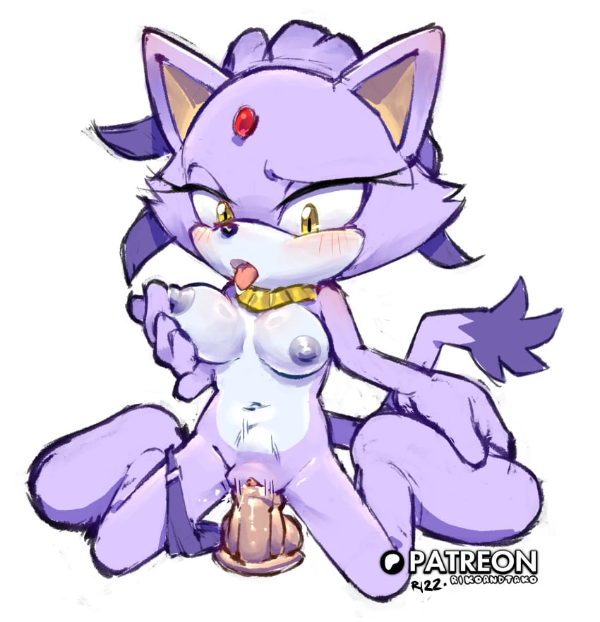 Blaze The Cat (Sonic (Series)) Rule 34 Image