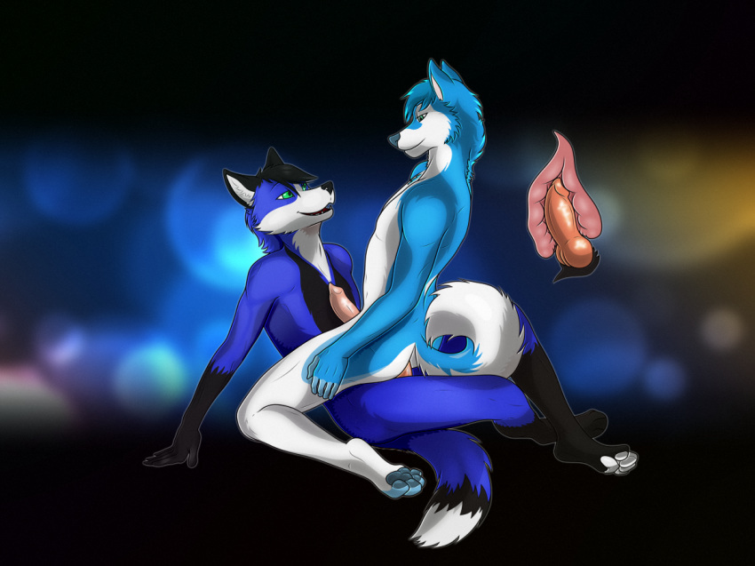 anal canine fox husky kimo male mammal whitefoxfromouterspace yaoi zan