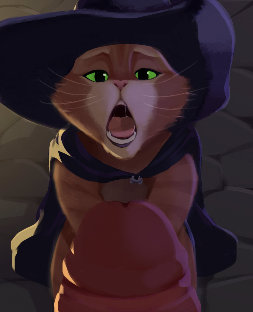 2boys black_cape black_hat cape cat_boy cavalier_hat colored_sclera death_(puss_in_boots) dreamworks english_commentary erection fangs feline furry furry_male furry_with_furry green_eyes green_sclera half-closed_eyes hat hat_feather highres imminent_fellatio interspecies kneeling looking_at_viewer male_focus multicolored_fur multiple_boys murizy_(nk54069) open_mouth orange_cat orange_fur outdoors penis pink_nose puss puss_in_boots_(dreamworks) puss_in_boots_(film) puss_in_boots_the_last_wish saliva shrek_(series) size_difference stone_floor tabby_cat teeth universal_studios whiskers wolf_boy yaoi