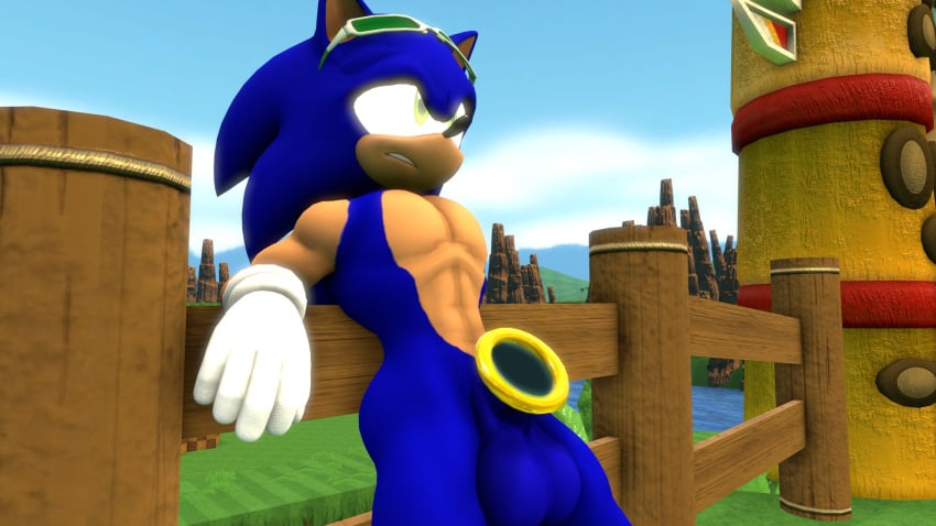 3d 3d_(artwork) balls big_penis huge_cock novaparadox1337 penis portal_sex sega sonic_(series) sonic_the_hedgehog sonic_the_hedgehog_(series)