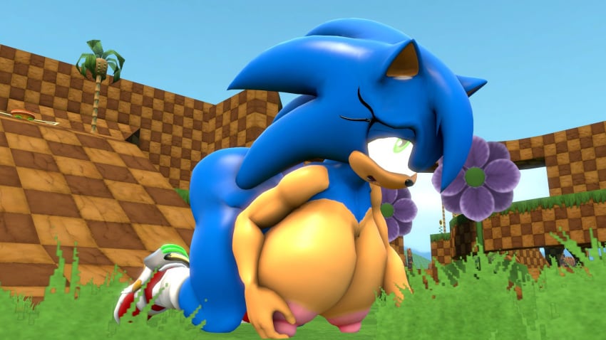 3d 3d_(artwork) big_ass big_breasts breasts bubble_butt huge_ass huge_breasts novaparadox1337 sega sonic_(series) sonic_the_hedgehog sonic_the_hedgehog_(series) sonique_the_hedgehog thick_thighs wide_hips