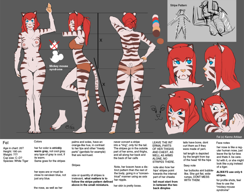 fel kenno_arkkan kennoarkkan model_sheet my_life_with_fel! tagme webcomic